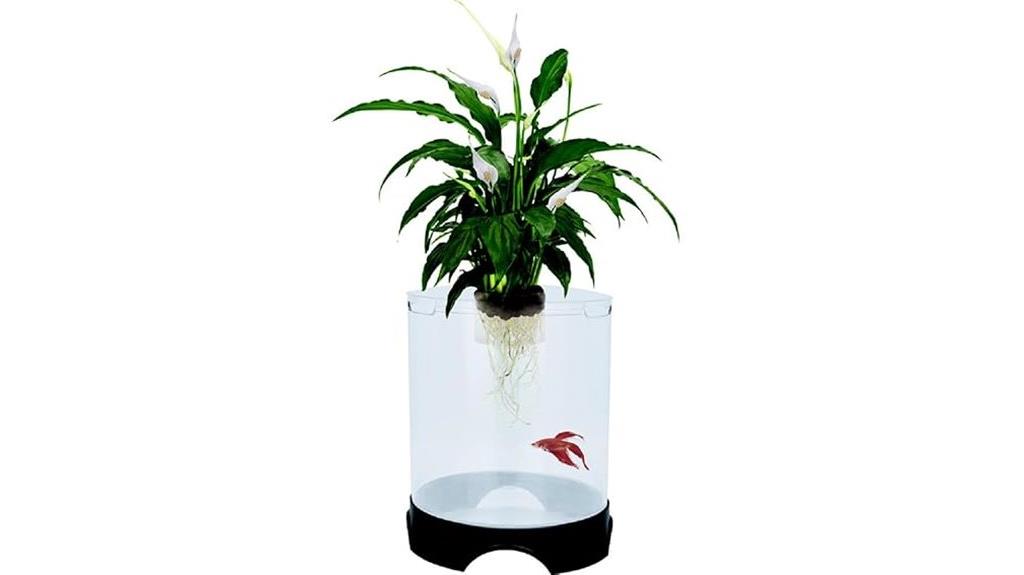 aquaponic betta fish container