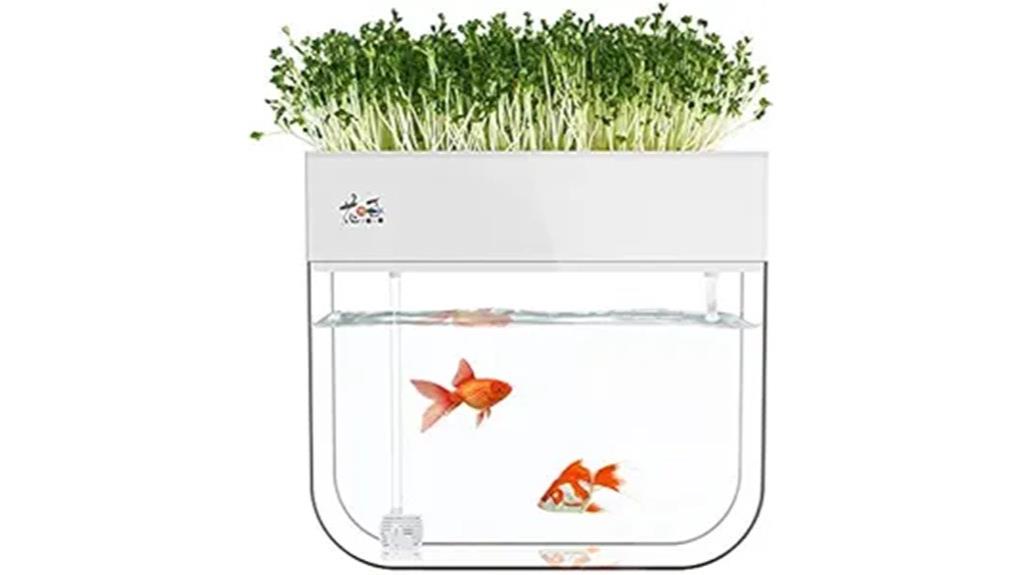 aquaponic fish tank