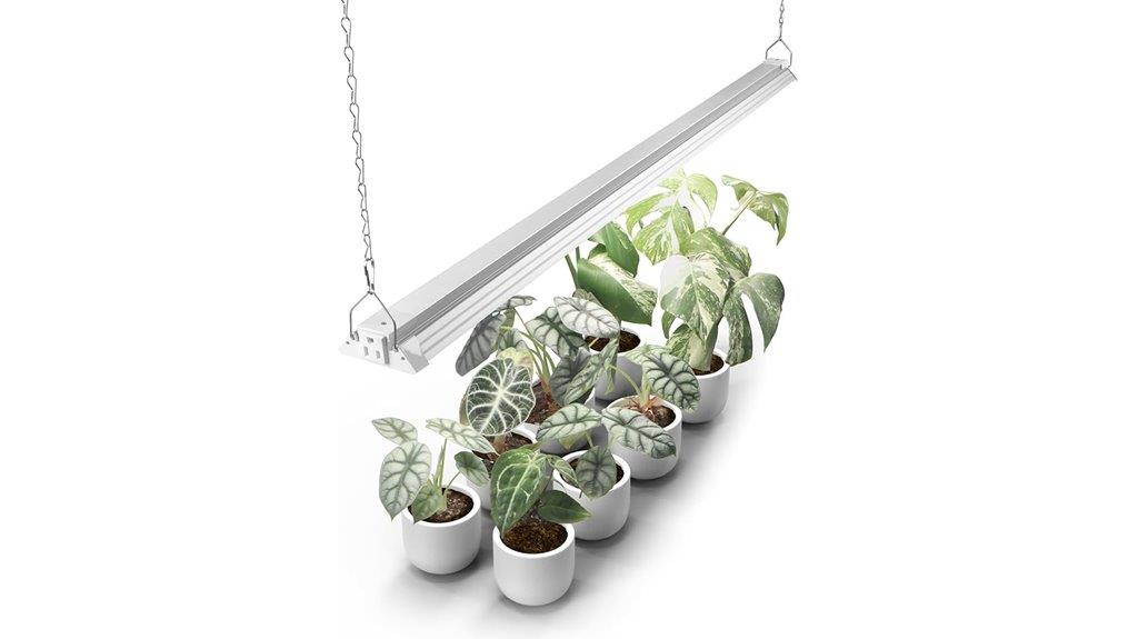barrina 4ft grow light