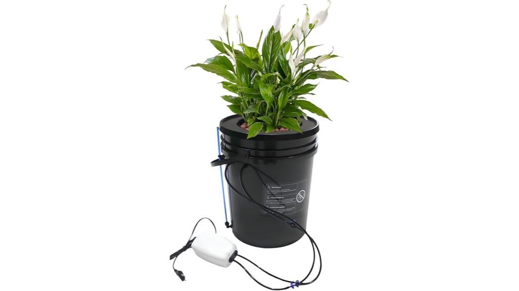 deep water culture hydroponic