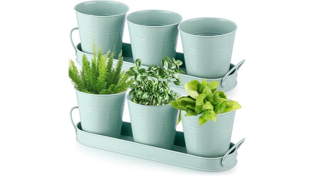 dual herb planter sets