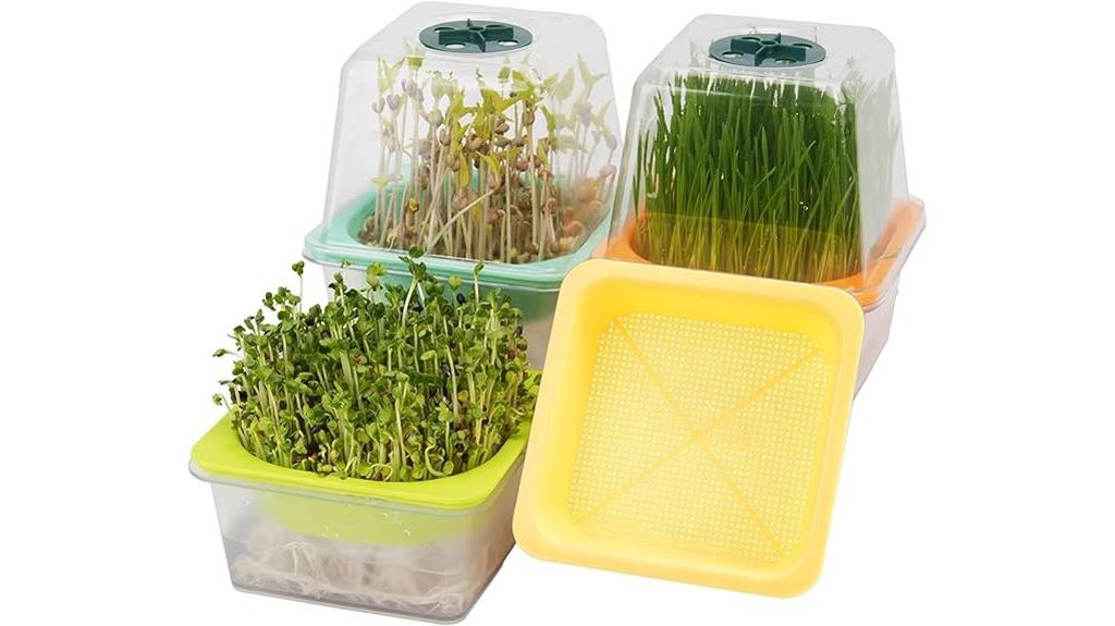 four pack microgreen trays