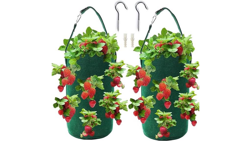 hanging strawberry grow bag