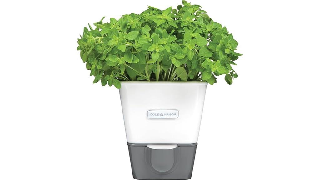 herb keeper with water