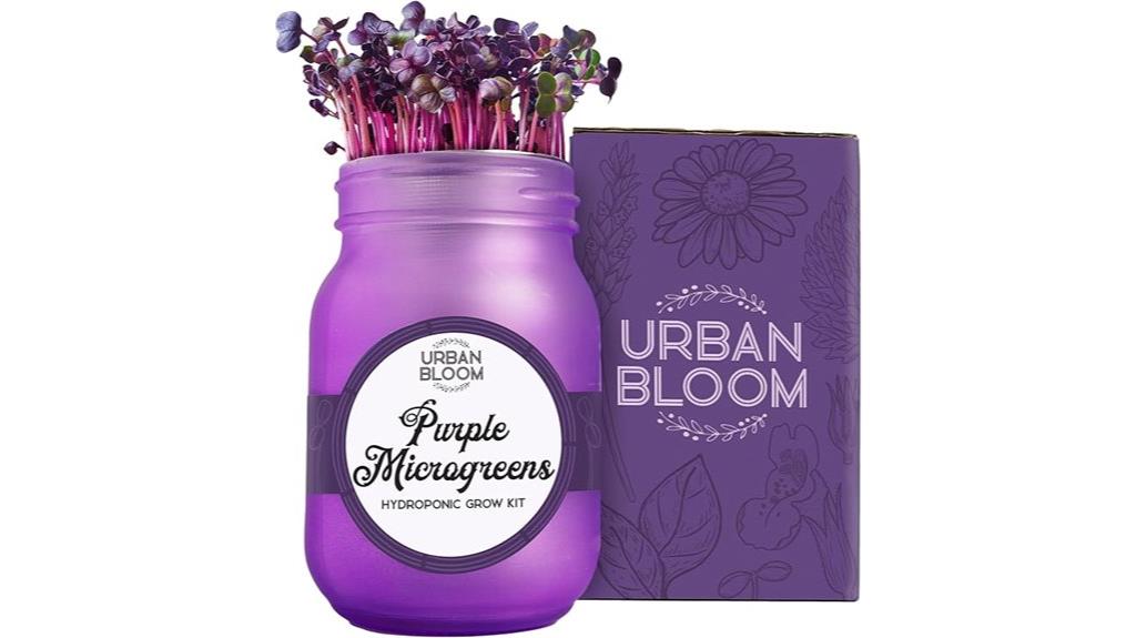 hydroponic herb mason jar