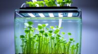 hydroponic plant starter kit
