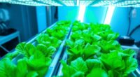 hydroponic upgrade growth boosters