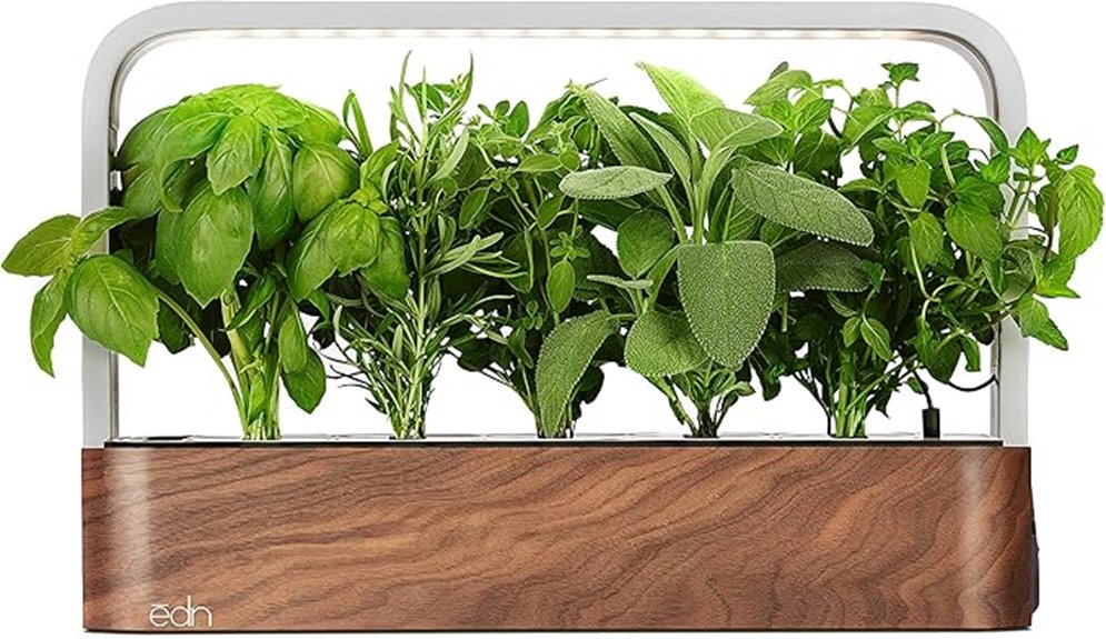indoor basil seed garden