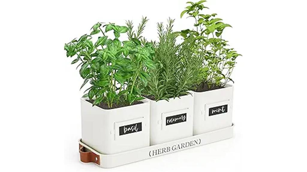 indoor herb garden kit