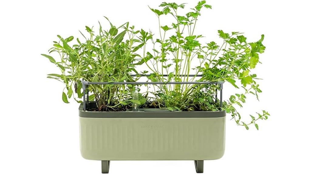 indoor herb garden kit