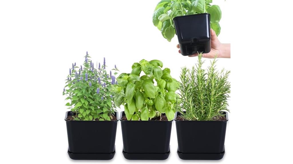 indoor herb garden kit