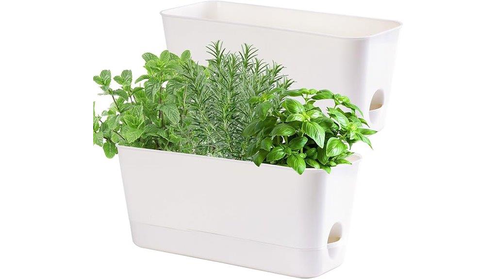 indoor herb planter kit