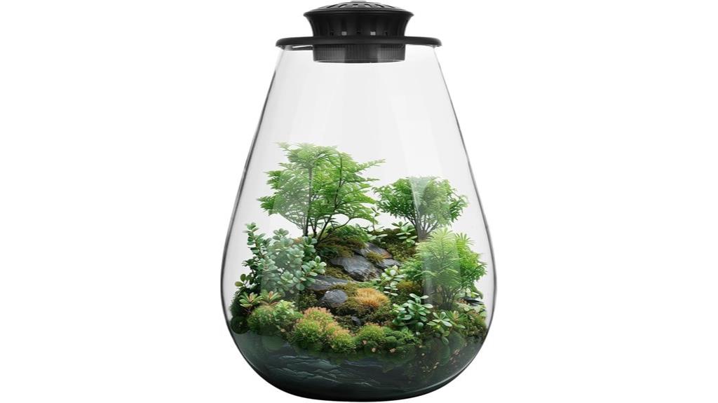 mini glass plant terrarium