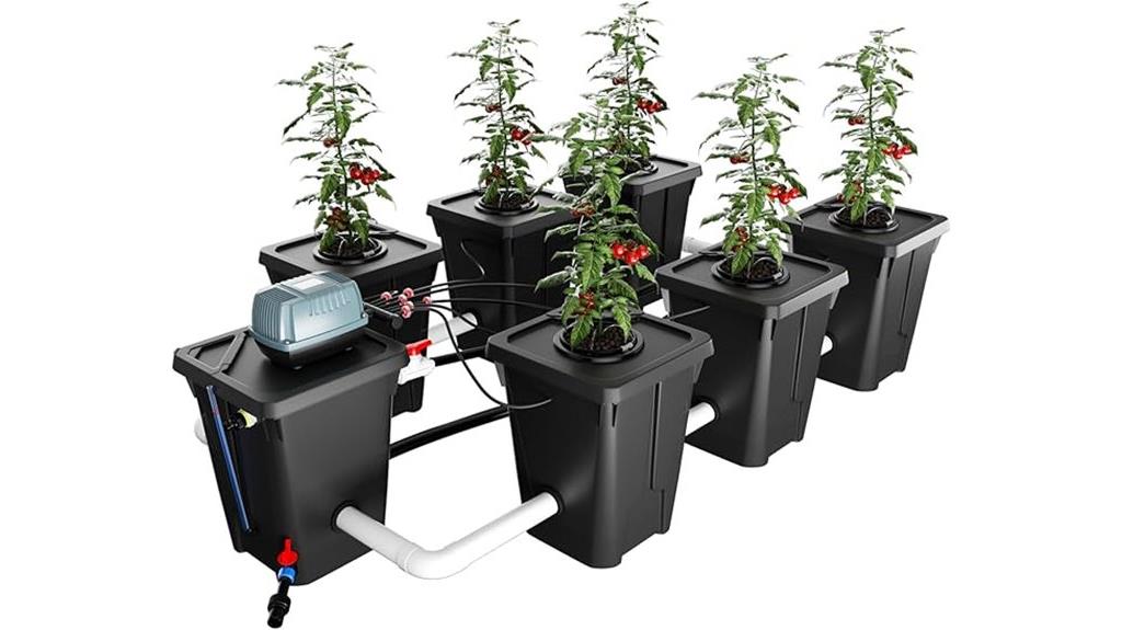 six site rdwc system