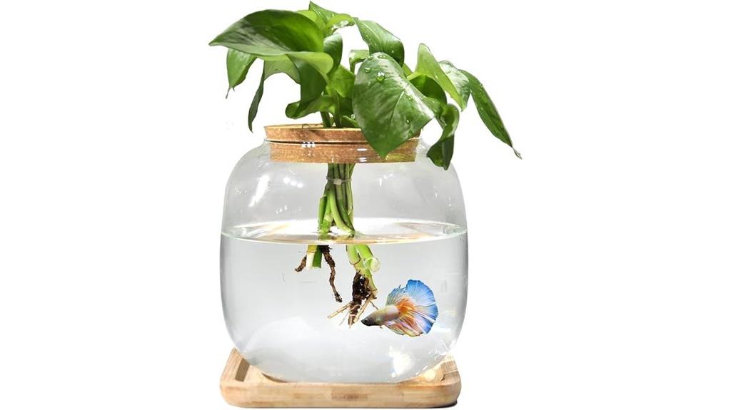 small betta fish bowl