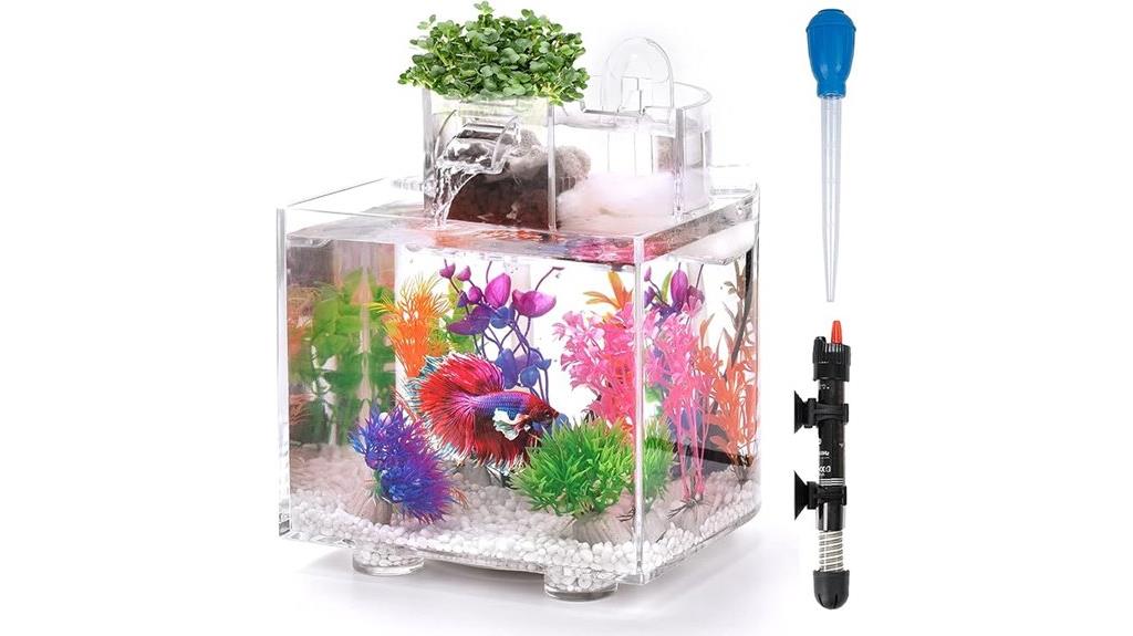 small betta fish tank