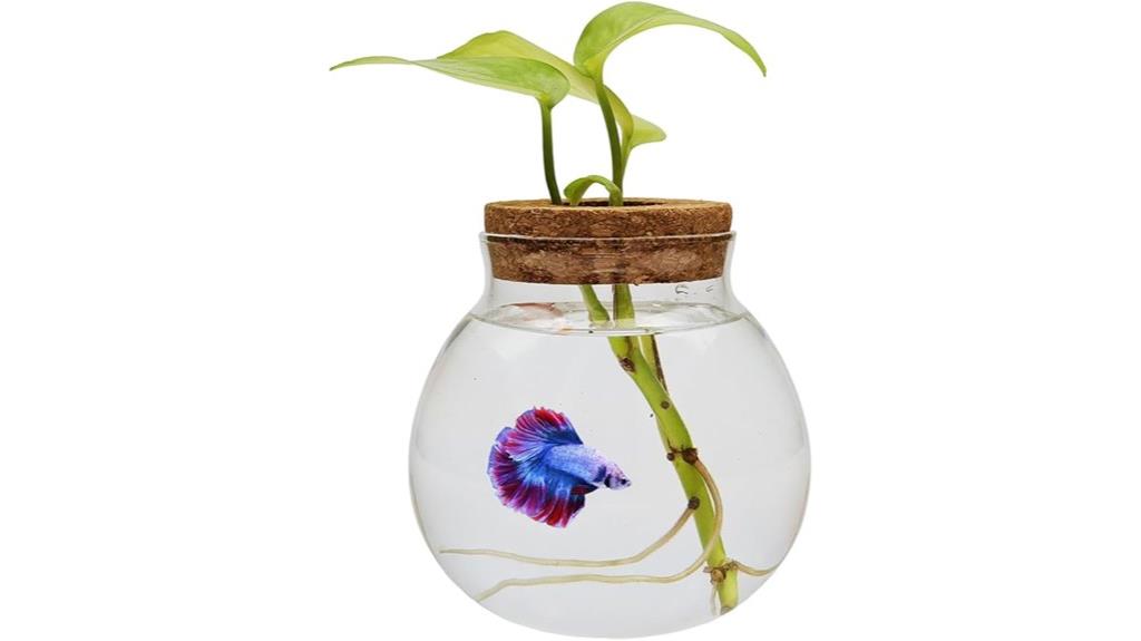 small glass fish bowl