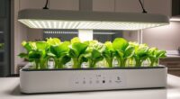 top indoor lettuce growing systems
