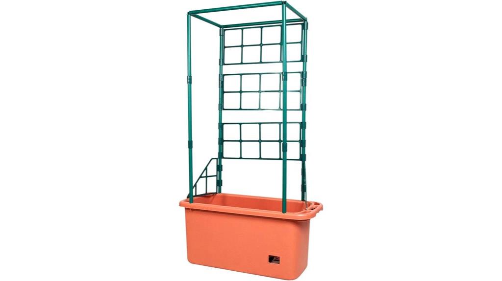 10 gallon hydroponic tomato system
