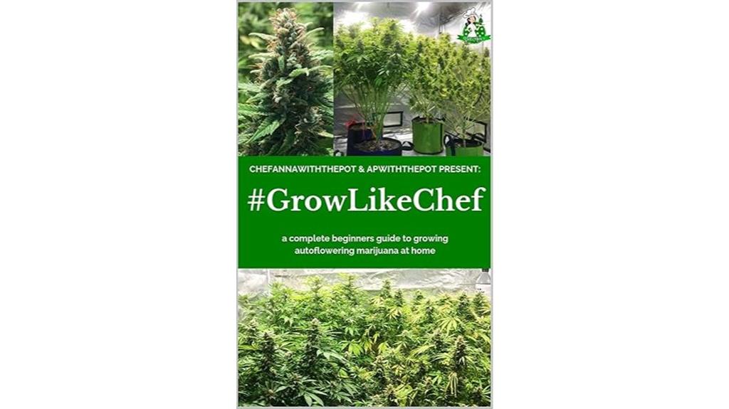 autflowering marijuana cultivation guide
