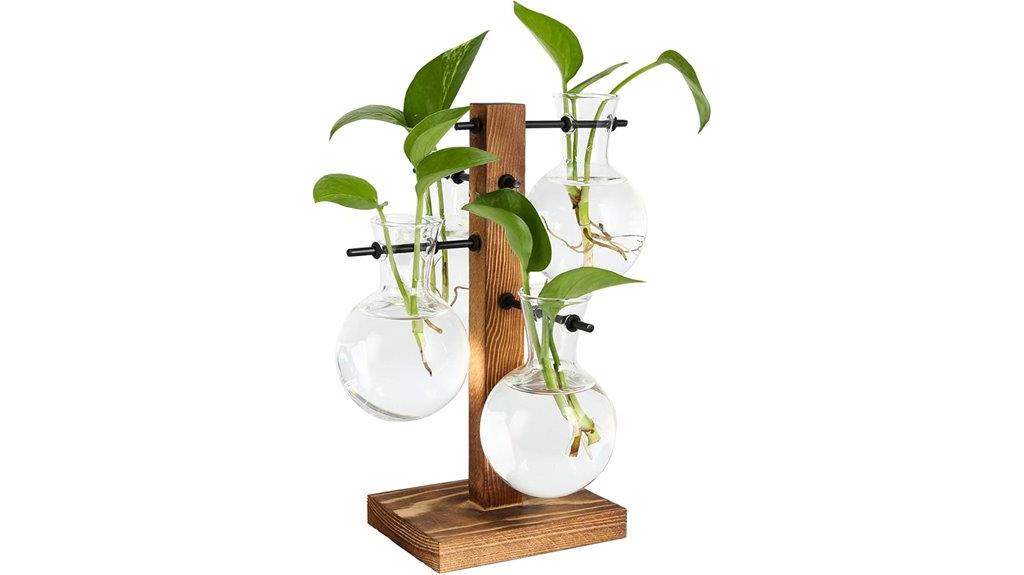 glass vases terrarium kit
