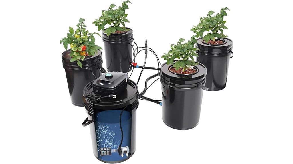 hydroponic bucket drip system