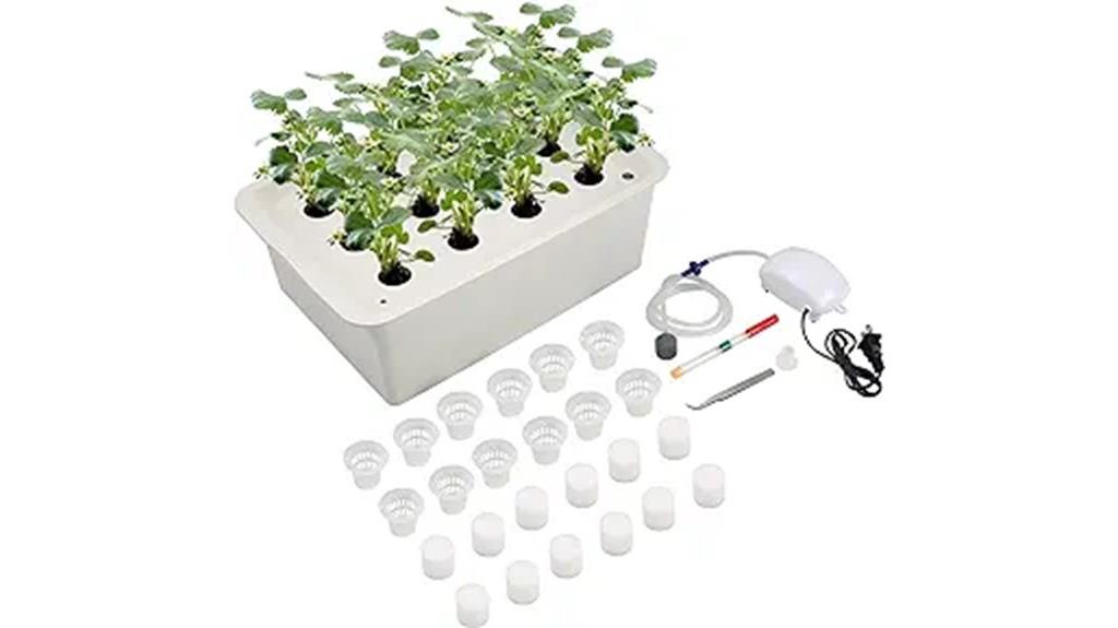 hydroponic kit with air