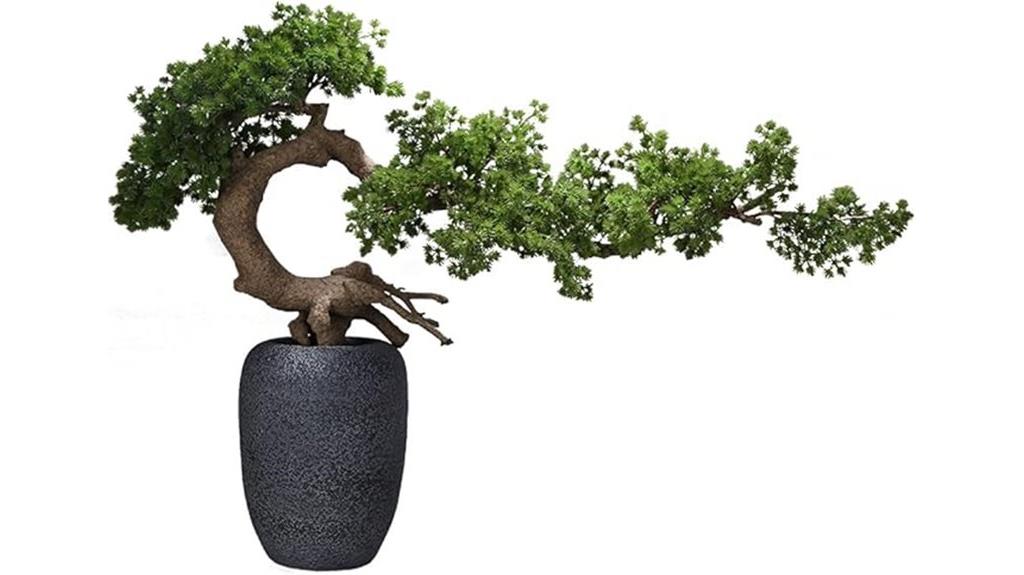 indoor pine bonsai sculpture