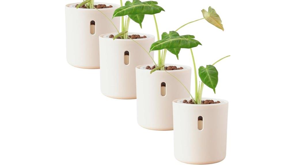 indoor plant watering set