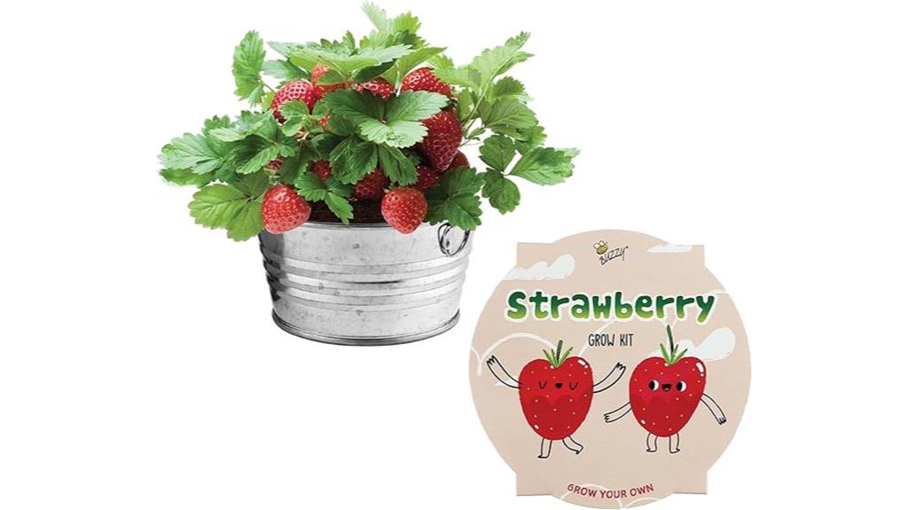 kids mini strawberry seed kit