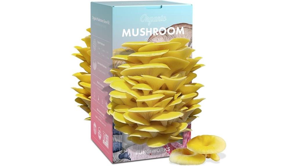 organic golden oyster kit