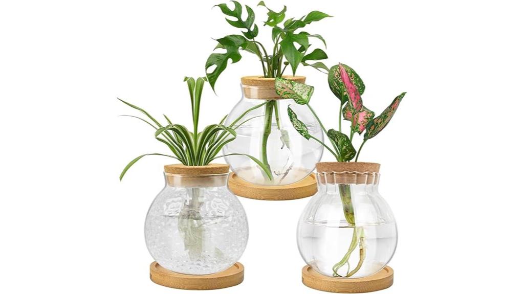 plant propagation station tray