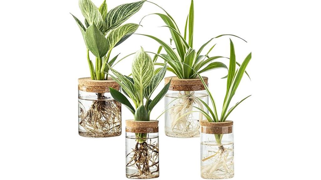 set of four glass stations
