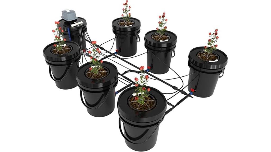 six bucket rdwc system