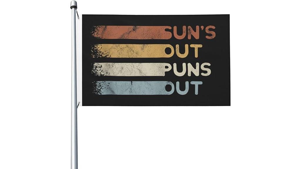 sunshine pun flag decor