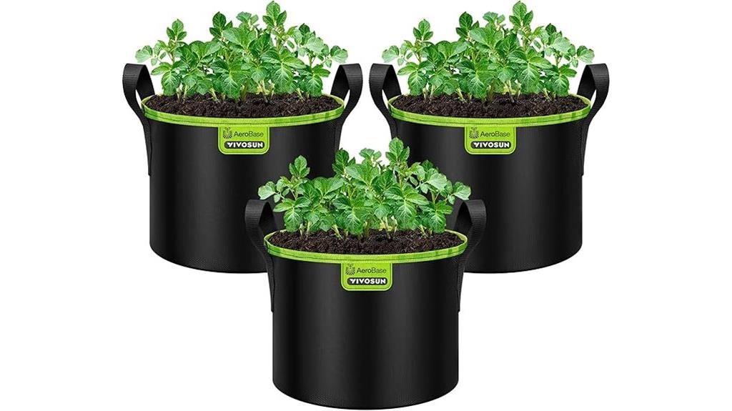 three 5 gallon grow bags