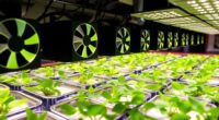 top hydroponic kits with fans