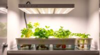 top indoor hydroponic kits