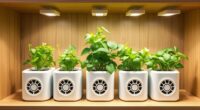 top smart indoor gardens