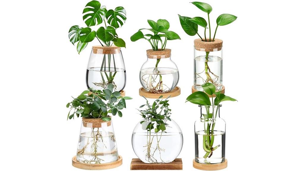 wooden lids bamboo stands