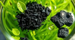 biochar and charcoal use