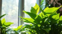 fresh air benefits plants