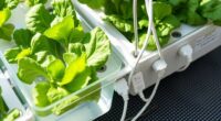 hydroponic electrical water safety