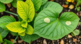 identify and diagnose nutrient deficiencies