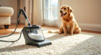 top pet carpet cleaning options