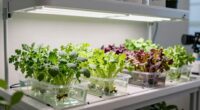 efficient hydroponic growing systems