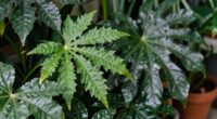 focus on leaf texture