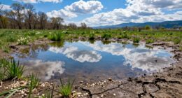 increased evaporation during warmer months