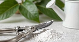 persistent white residue buildup