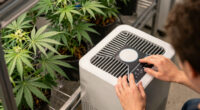 2 Best Air Purifiers for Grow Room in 2026